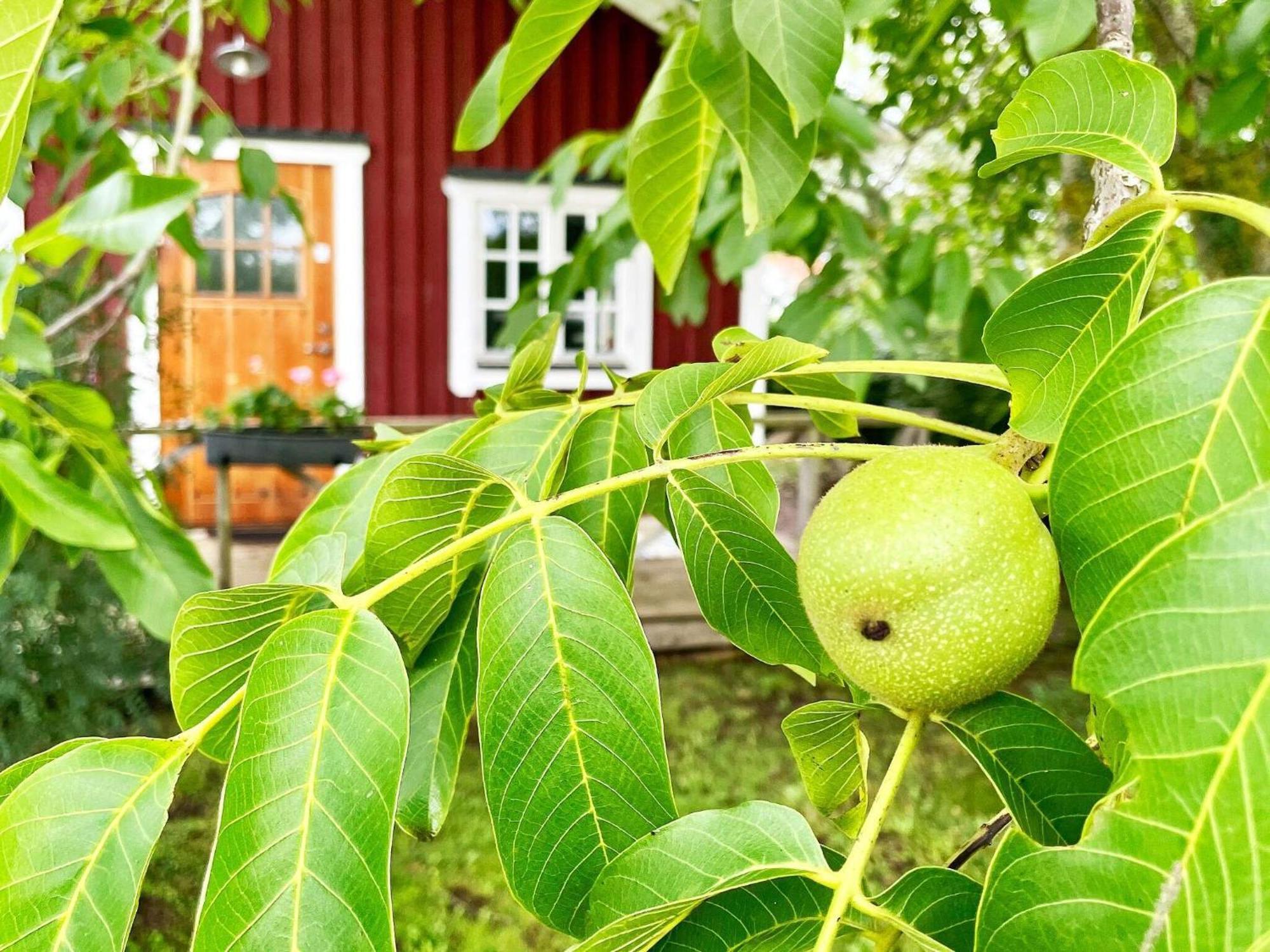 Holiday Home Malaretorpsvaegen Borgholm község Kültér fotó